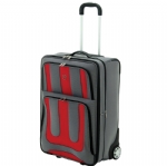 High-capacity outdoor travel trolley case