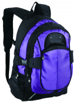Popular 2 zippered front pockets purple rucksack bag