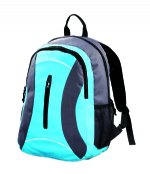 Blue bag Adjustable padded shoulder strap laptop backpack